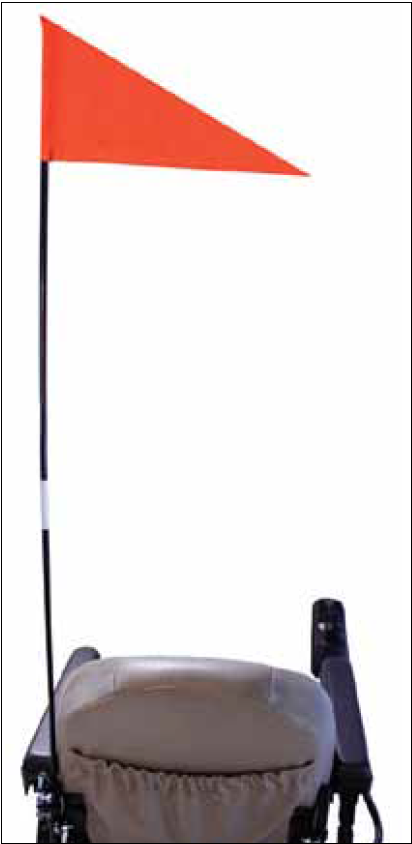 Scooter Flag